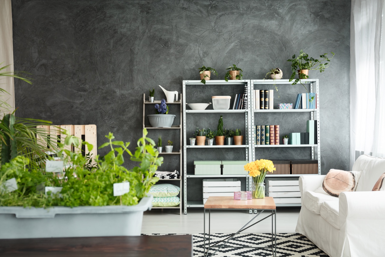 Modern day apartment